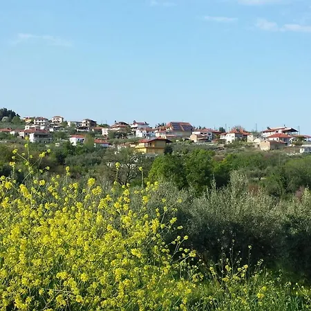 Athonia * Sevastí