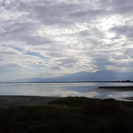Athonia *