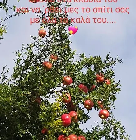 Athonia בית נופש